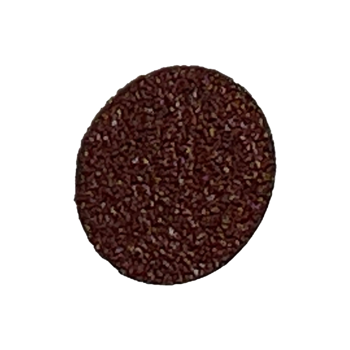 1" 25mm | Schleifscheibe mit Roloc-Aufnahme | 25 Stück